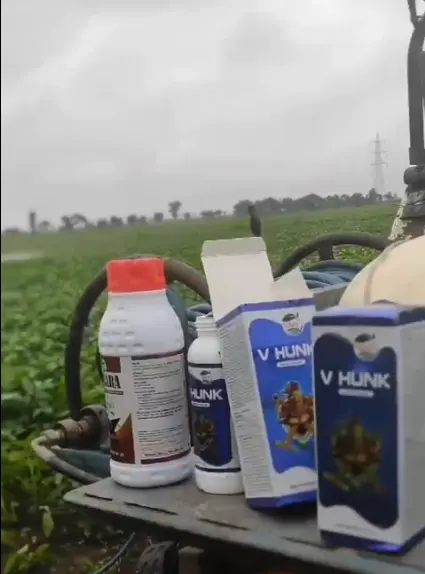 Sample Video